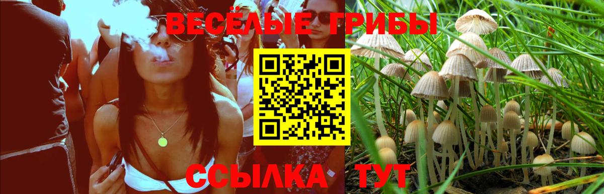 Галлюциногенные грибы MAGIC MUSHROOMS Михайловск
